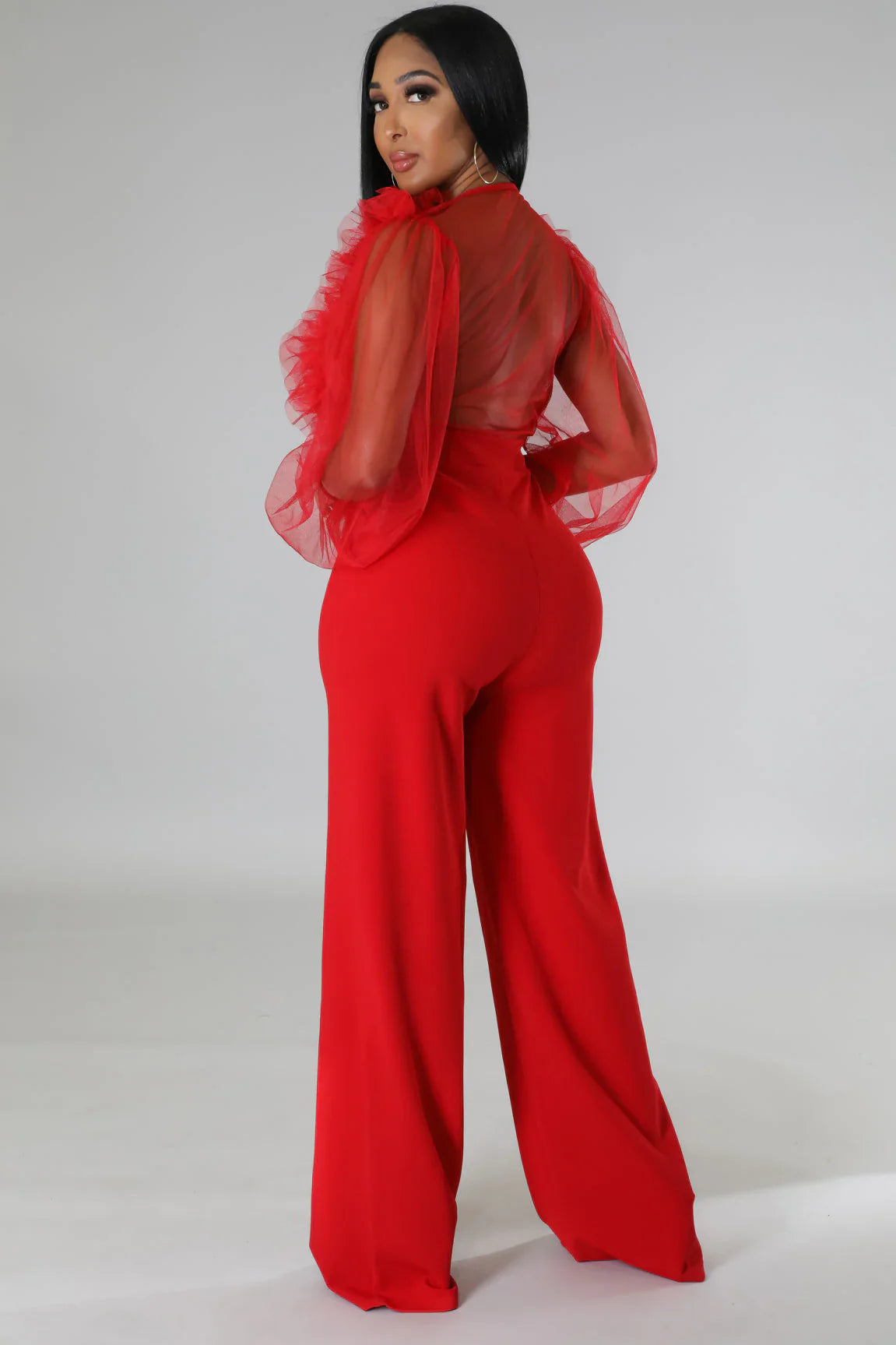 Sheer Sleeves & Back Plunging Ruffles Wide Leg Jumpsuit